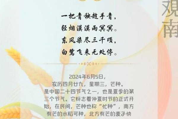 芒种节气，6月初一，夏始之章-新乐天