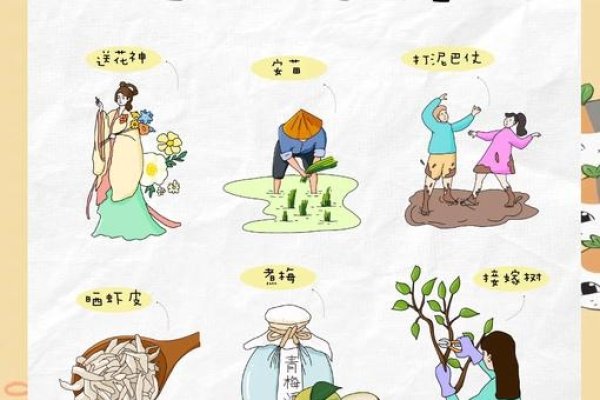 芒种节气,传统习俗的丰富多彩-新乐天