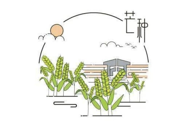 芒种节气，农耕文化的智慧与自然节律的交响-新乐天