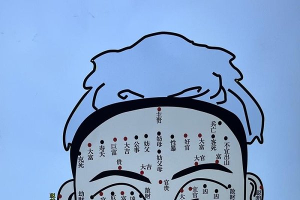 男子面部痣相图，多维解读下的精神能量守护-新乐天
