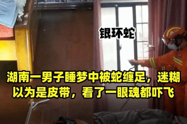 男子梦中惊现蛇缠足之谜-新乐天
