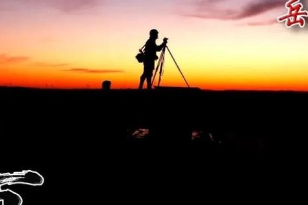 夏至三庚入伏，传统算法解析-新乐天