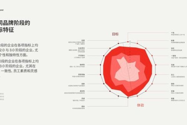 塑造未来，构建高效品牌发展规划的蓝图-新乐天