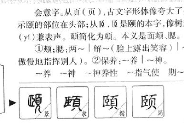 颐字相关解析及读音，颐在含义与义项，广州话音韵趣味-新乐天