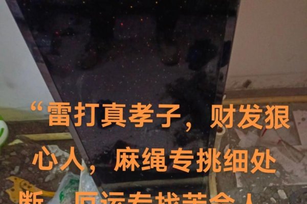 雷子是什么意思？揭秘网络流行语背后的故事-新乐天