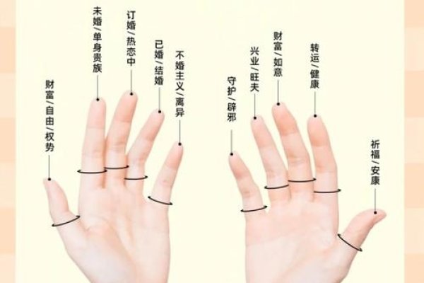 小指形态揭示子女、社交与财富运-新乐天