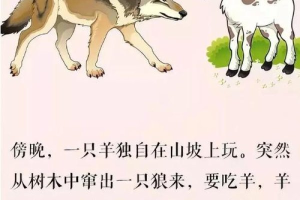 狼子野心与生肖之关联-新乐天