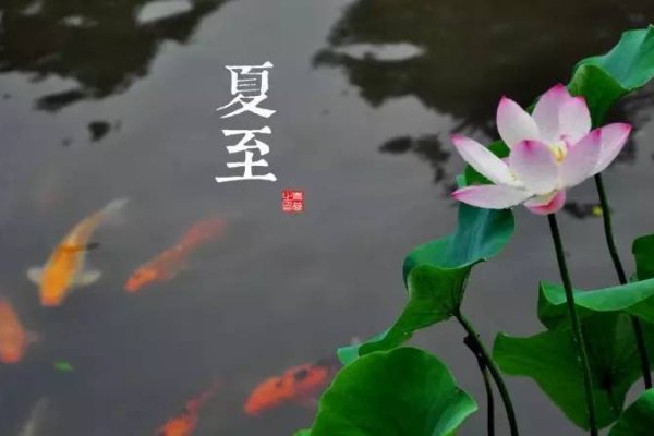 夏至与入伏，初识与初探-新乐天