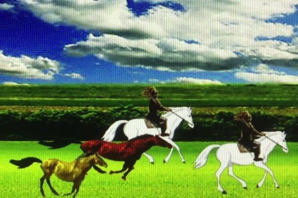 笛子与生肖特马-新乐天