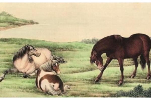 框子与特马，揭秘生肖之谜-新乐天