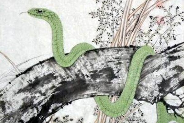 一尘不染，最佳生肖—蛇-新乐天