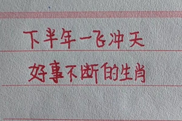 一飞冲天生肖揭秘-新乐天