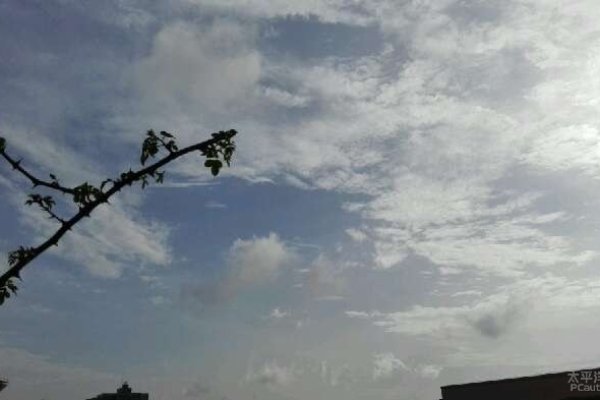 雨过天晴—揭示生肖之谜-新乐天