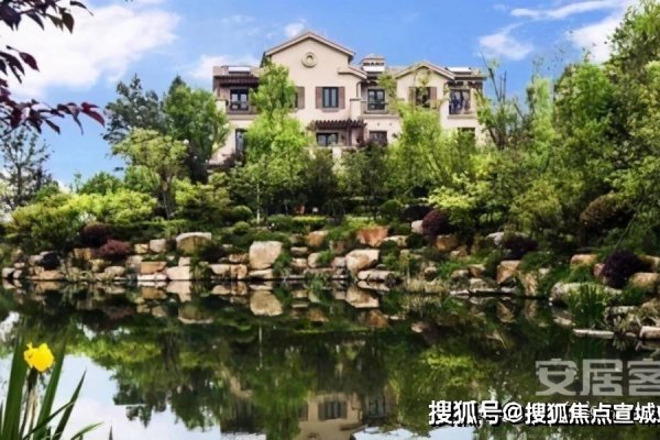 有机ZZ无法查看的原因及解决方法-新乐天