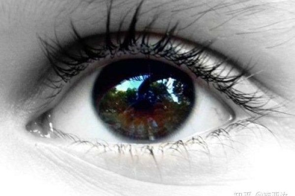 眼皮跳的预兆，科学解析与文化解读-新乐天