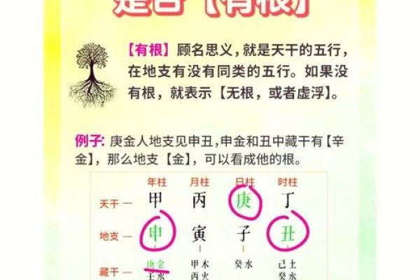 一图解读你的八字命运-新乐天