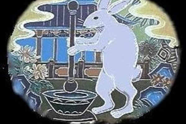 玉兔出宫，生肖之谜-新乐天