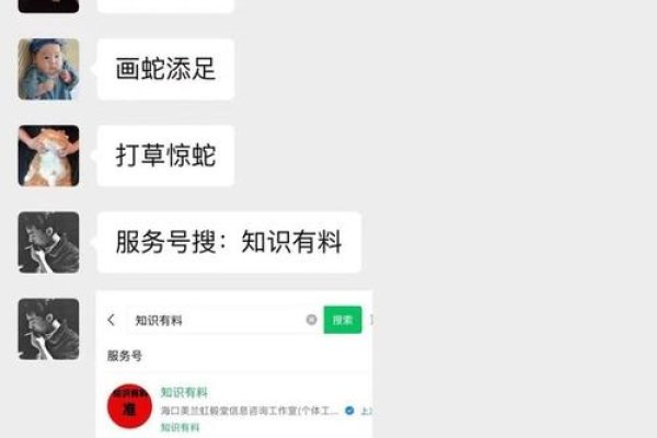 玉兔出宫，揭秘正确的生肖谜底-新乐天