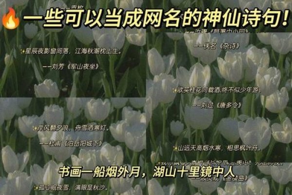 有味道的网名，让文字触手可及的诗意-新乐天