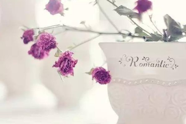 优雅个性名字设计，绽放独特魅力-新乐天