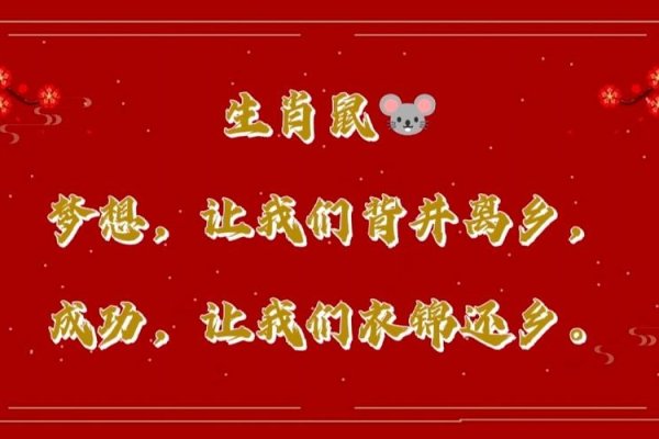 衣锦还乡与生肖-新乐天