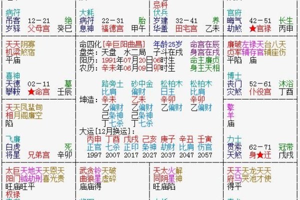 元亨利贞紫薇排盘解析-新乐天