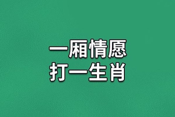 一厢情愿的生肖-新乐天