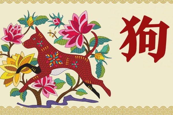 引狗入寨生肖揭秘-新乐天