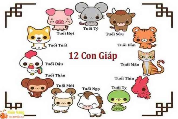 越南十二生肖，猫代兔，水牛替耕牛-新乐天