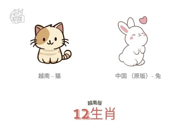 越南十二生肖，文化融合与独特魅力的探索-新乐天