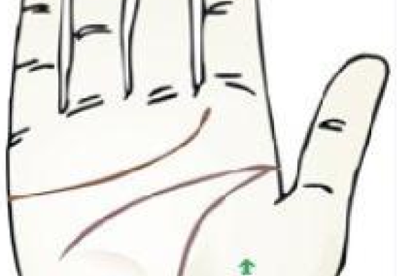 月丘饱满的含义与解读-新乐天