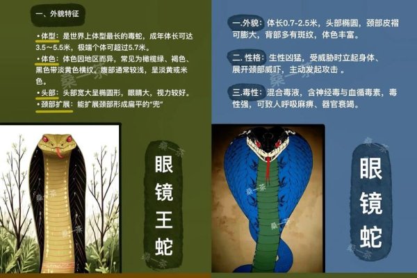 银蛇狂舞背后的生肖奥秘-新乐天