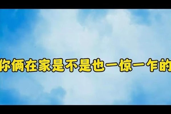 一惊一乍与生肖-新乐天