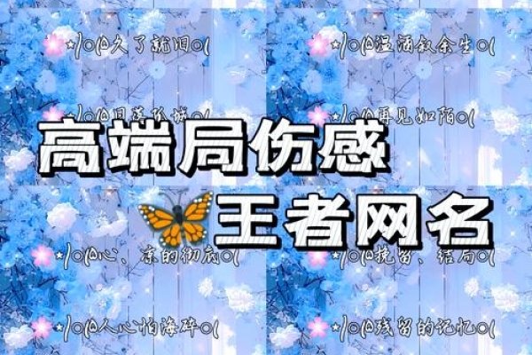 游戏中的伤感名字，虚拟世界的情感共鸣-新乐天