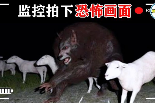 易招鬼的年龄，揭秘神秘生物的生存法则-新乐天