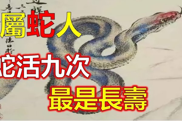 众多非一，生肖之谜，蛇的形态多样性与文化象征-新乐天