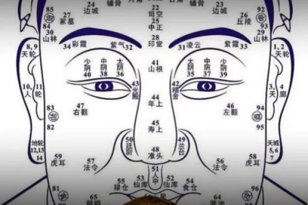 招风耳，美与个性的独特诠释-新乐天