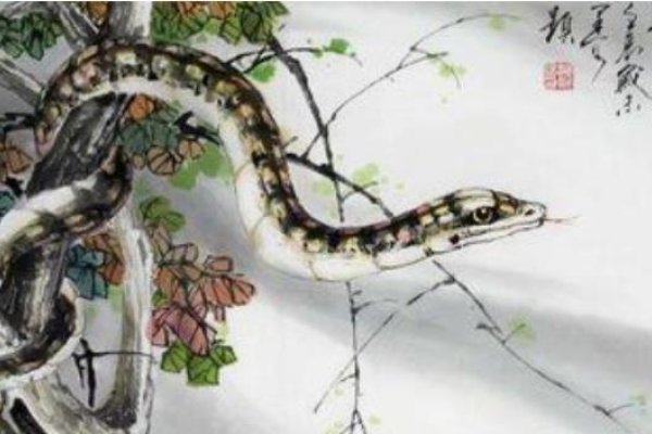 作法自毙的生肖解析—揭秘蛇的独特命运-新乐天