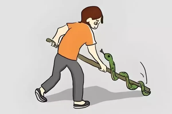 周公解梦之梦见打死蛇的寓意-新乐天