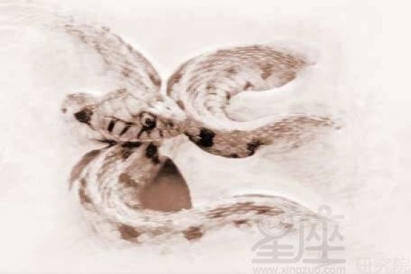 周公解梦，梦见被蛇咬的解析-新乐天