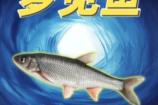 周公解梦大全，梦见鱼的寓意解析-新乐天