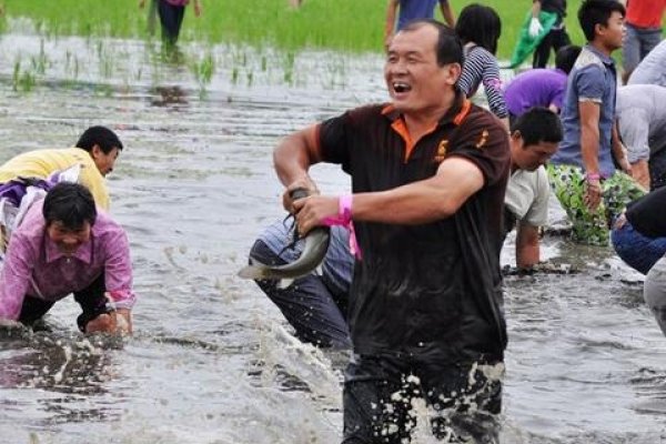 周公解梦，捉鱼寓意财富、挑战与幸福-新乐天