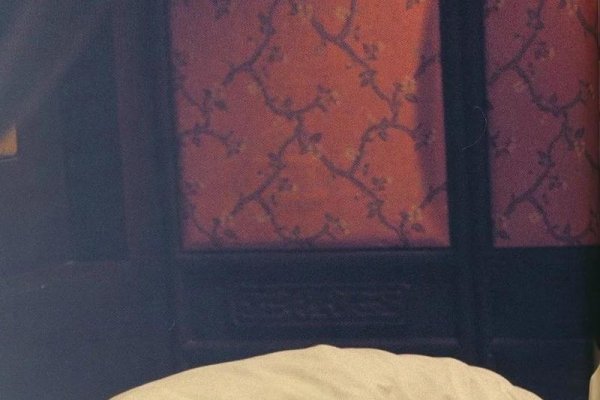 张国荣星座艺术风华耀世-新乐天