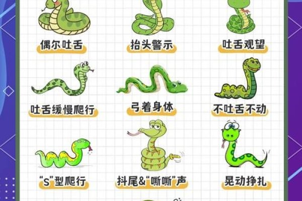 杂乱无章，猜一生肖—蛇-新乐天