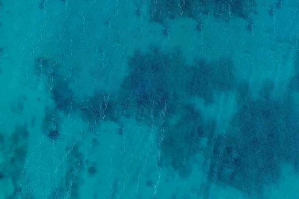 在梦中惊现车辆碰撞，或许暗示着生命的脆弱与无常-新乐天