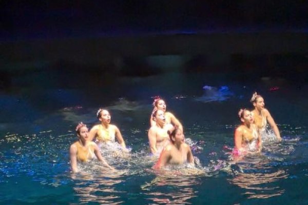 在梦中与泳池共舞，一场关于自我与现实的奇妙想象-新乐天