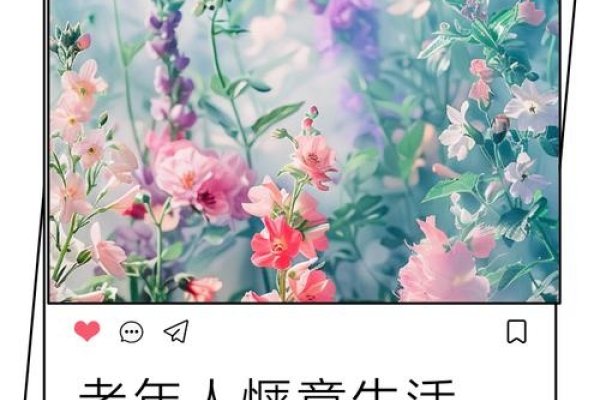 中年情感驿站，岁月静好，温情依旧-新乐天