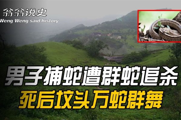 走投无路为何与蛇相关？-新乐天