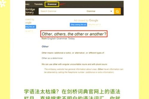 在线取英文名网站，便捷与专业的英文名选择-新乐天