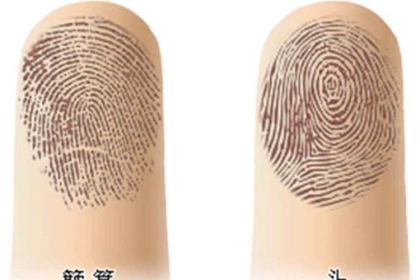 指纹算命图解，探索指纹与命运的神秘联系-新乐天